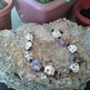 2012-07-21_2008.26.16_small