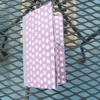 Polka Dot Origami Book