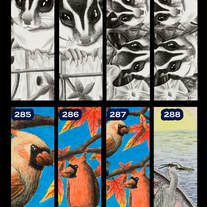 Bookmark | (individual)