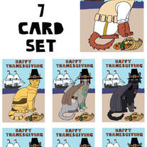 Cat dressed as Star Wars Thanksgiving 7 card set
