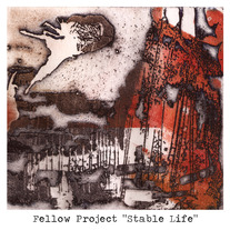 FELLOW PROJECT "Stable Life"