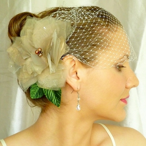 Ivory Bandeau Birdcage Veil