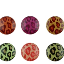 Leopard Home Screen Buttons