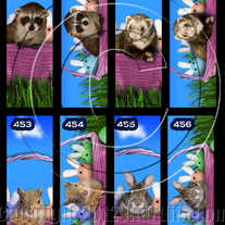 Bookmark | (individual)