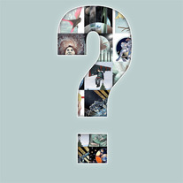Mystery Print Bundle