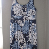 Paisley Merona Dress