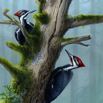 "The Forest's Benefaction" Acrylic Painting