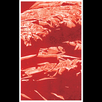 Japanese Women/Kamikaze Pilots
