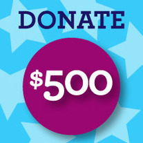 Donate $500