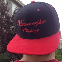 Snapback Hat