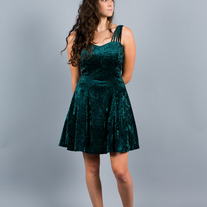 Velvet Forest Dress