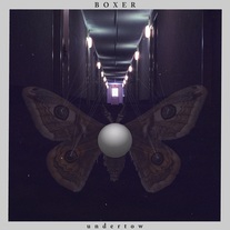 Boxer - Undertow 12"