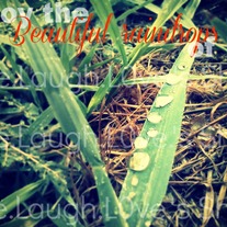 Enjoy the beautiful raindrops of life cards - 3