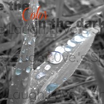 See the color in the dark cards - 1