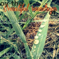 Enjoy the beautiful raindrops of life 5x7 print - 1