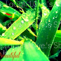 Life is beautiful 5x7 print - 1