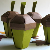Acorn_set_8_medium