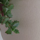 Eggtexture1_small