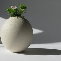 Bestwithflowers_2_medium