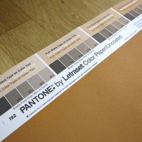 Vintage PANTONE® Poster - Pantone 1385 U