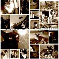 Center of the Sun "Machine Gun" 12" LP (Mayfly//Self Aware)
