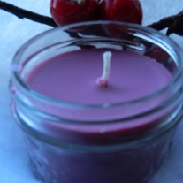 Cranberry_20spice_204_20ounce_20soy_20candle_20by_20the_20fizzy_20pop_20collection_20(960x1280)_medium