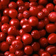 Cranberry_20spice_small