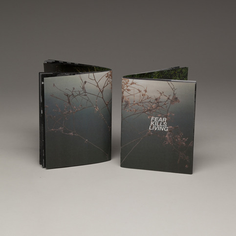 Fear Kills Living 2nd Edition (Photo Zine)