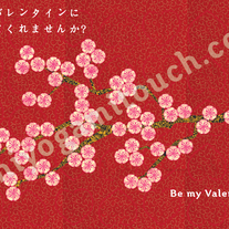Valentin_medium