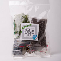 Desktop Terrarium Kit in a Bag
