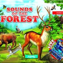 Sounds Of The Forest by AZ Books