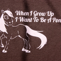 Pony_detail_web_medium