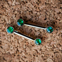 12g 1/2" Barbell with Forward Facing Green Paua Shell