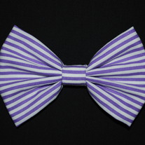 Lavender Lines