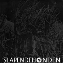 Slapendehonden / Saul Turteltaub split 7''