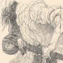 Drawing 0699