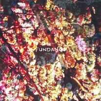 Animal Lover "Fundango"