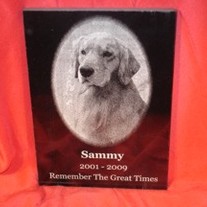 Pet-memorial-dog-marble-etched_medium