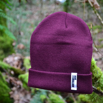 Maroon1_medium