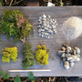 Moss-terrarium-details-6_1024x1024_small