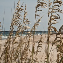 Rodanthe_1_medium