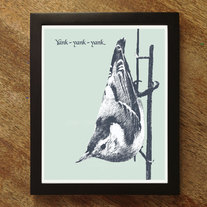 Yank. Nuthatch 8x10 Nature Graphic Print
