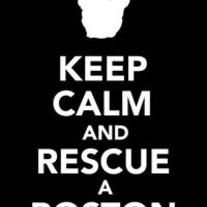 Keep_20calm_20bw_medium