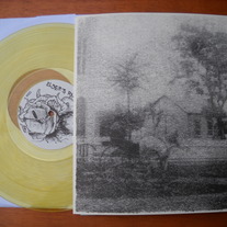 BUCKSHOT FACELIFE 'elders rasp' 11"