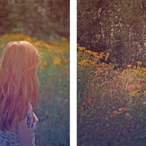 H-garden-flowers_medium