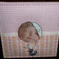 Pink Frame with Ducks