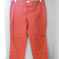 Ann Taylor Loft Cropped Pants