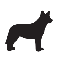 Blue Heeler Sticker | Vinyl Decal Sticker
