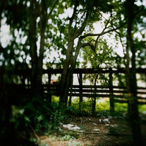 Backyard, Large Format