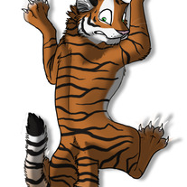 Clingmagnets_tiger__medium